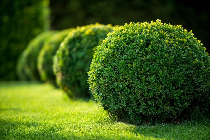 Bush Relocation in Aiken, SC