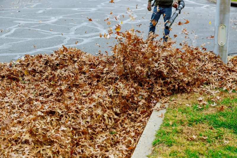Professional Leaf Blowing