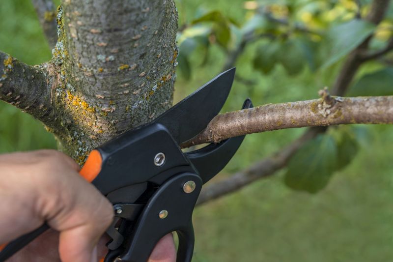 Root Pruning Inside Pot